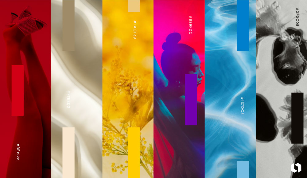 Brand visuals using monochromatic and earthy color palette